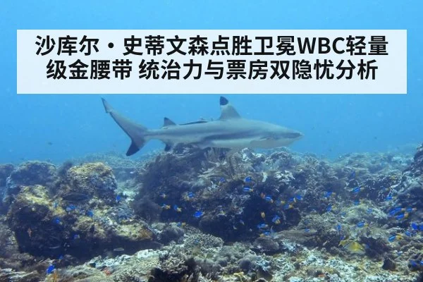沙库尔·史蒂文森点胜卫冕WBC轻量级金腰带 统治力与票房双隐忧分析